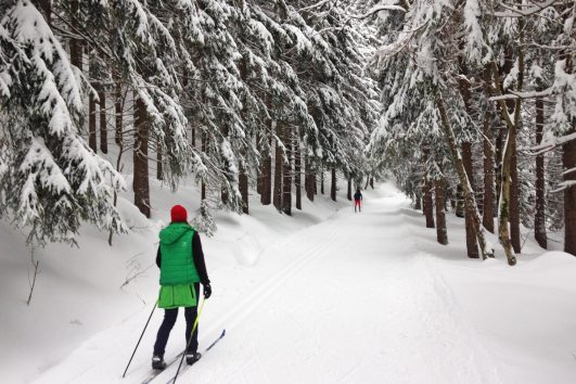 TSCHECHIEN: Skilanglauftraining im wunderbaren Isergebirge