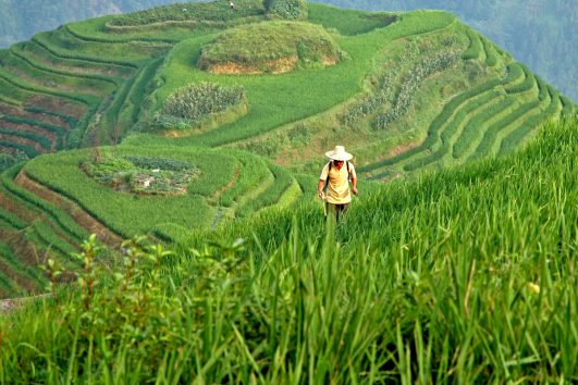 China Aktiv Reise