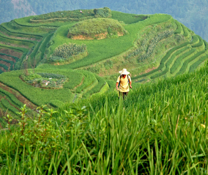 China Aktiv Reise