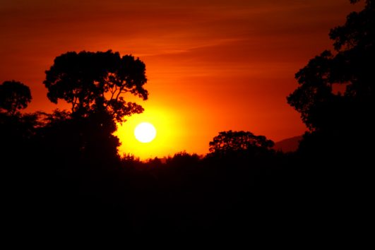 TANSANIA: Auf Safari im unbekannten Süden