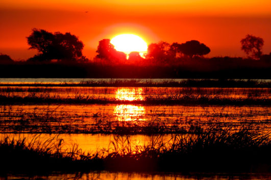 SÜDAFRIKA, SIMBABWE, BOTSWANA & NAMIBIA: Naturparadiese des südlichen Afrikas