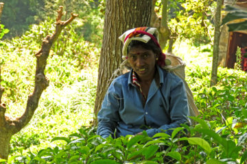 Sri Lanka Reise Rundreise