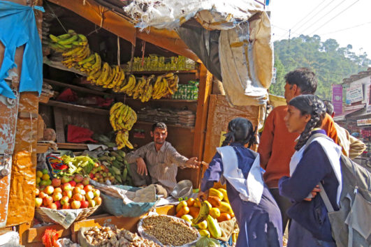INDIEN: Himalaya-Trekking, Rajasthan & Taj Mahal